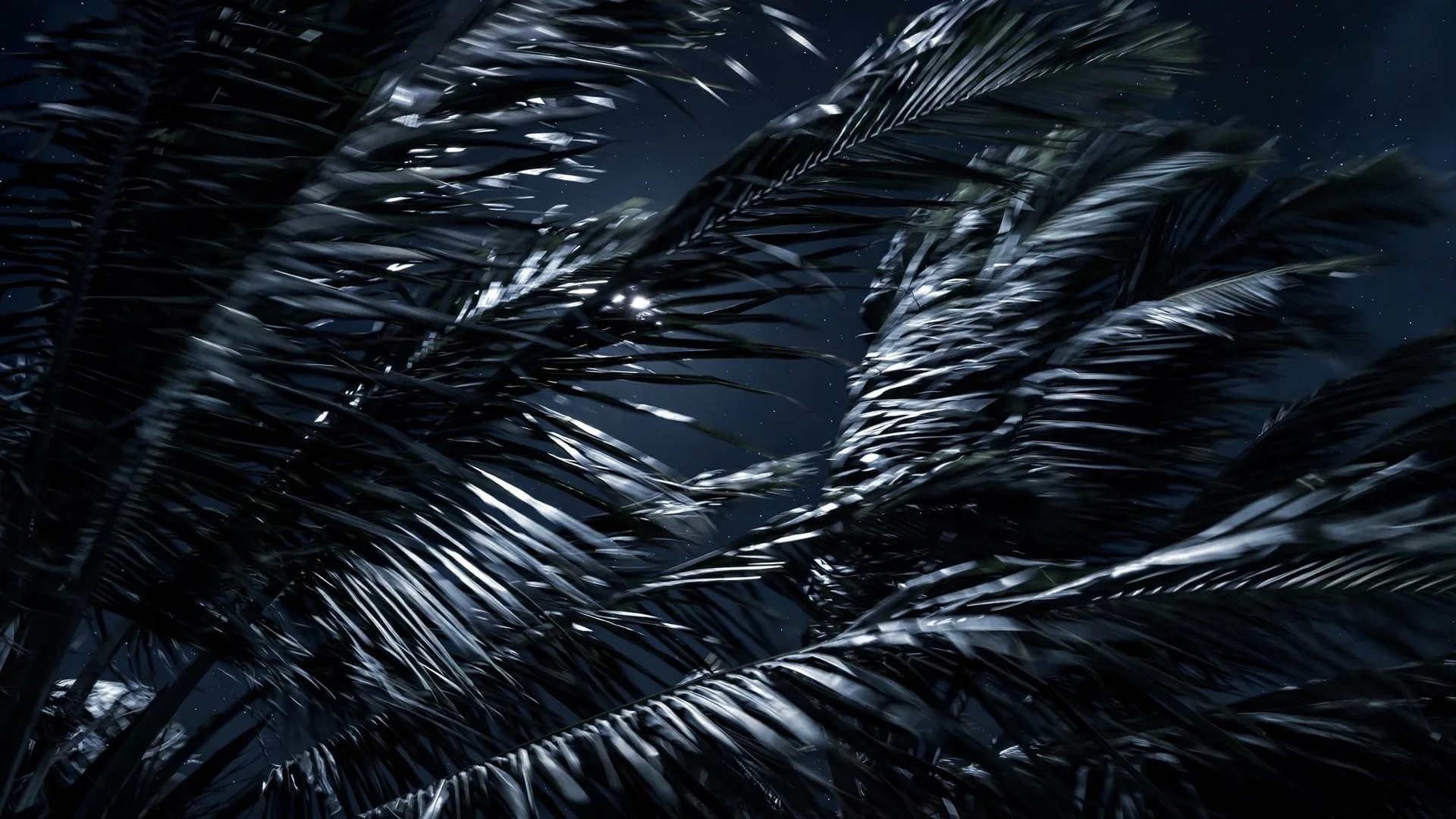 A moonlit wave curling past dark cliffs