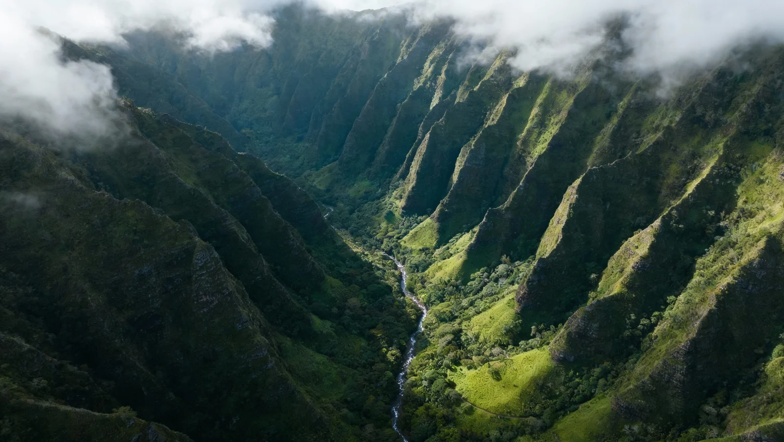 Coastal cliffs